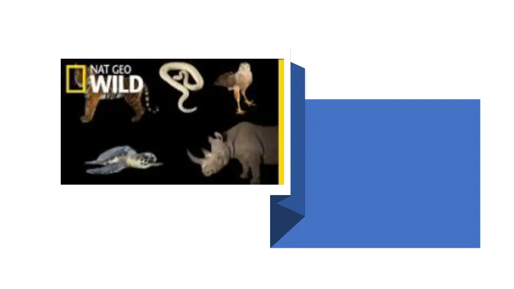 slide5