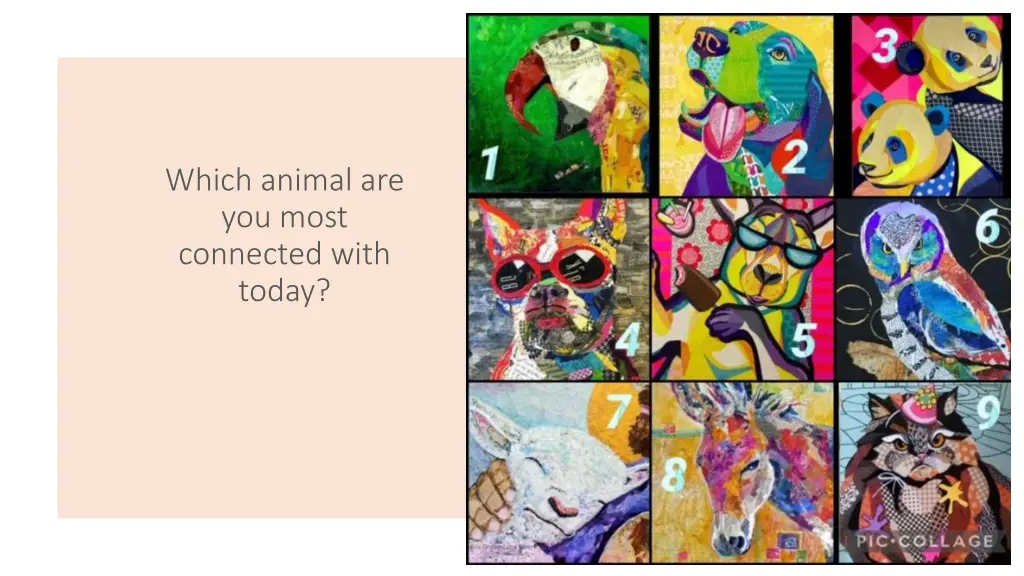 which animal are you most connected with today