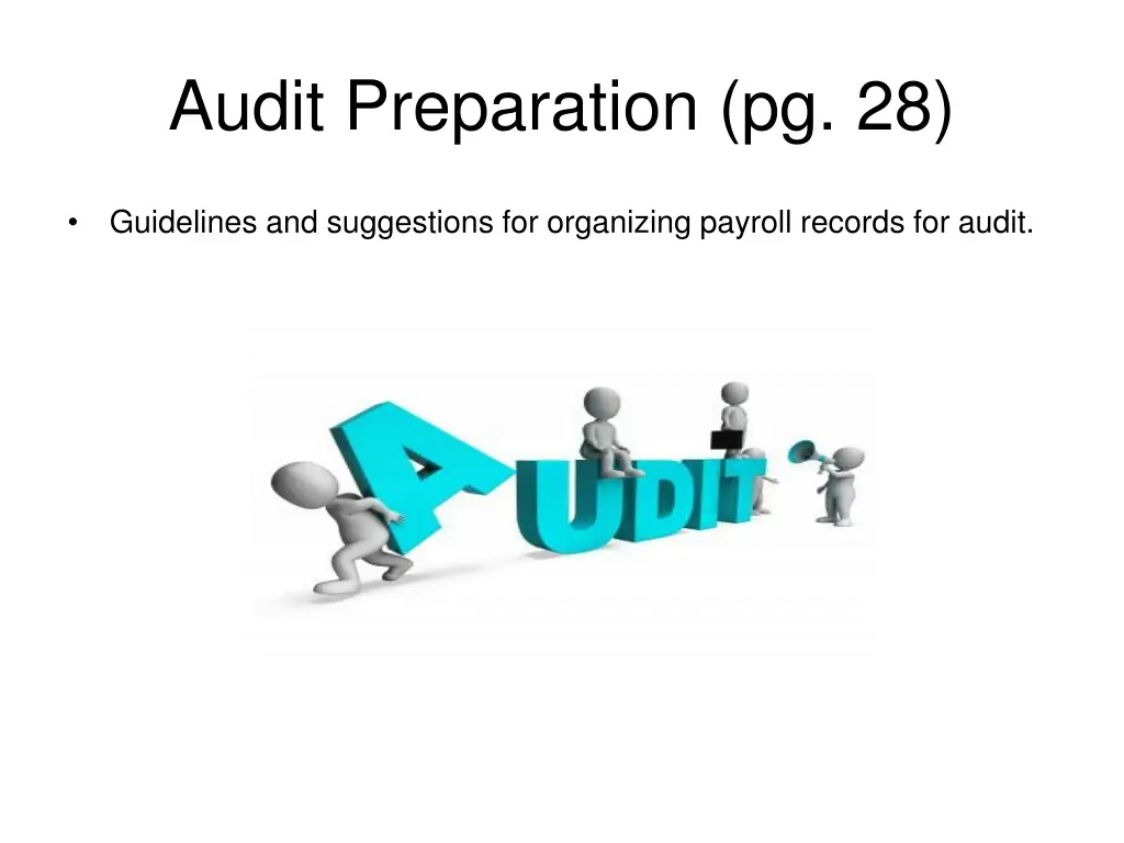 audit preparation pg 28