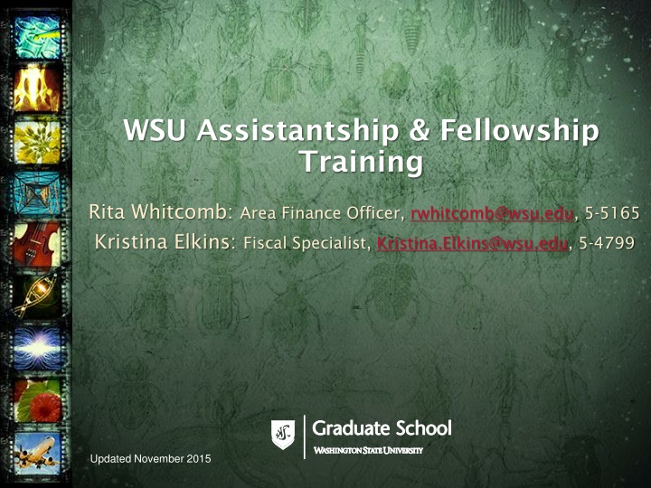 wsu assistantship fellowship training