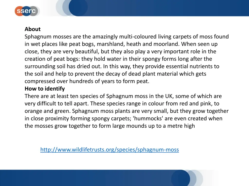 about sphagnum mosses are the amazingly multi