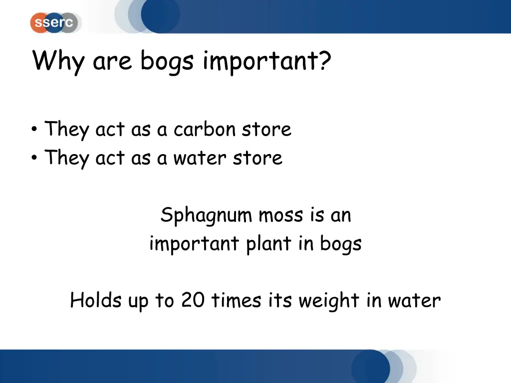 why are bogs important