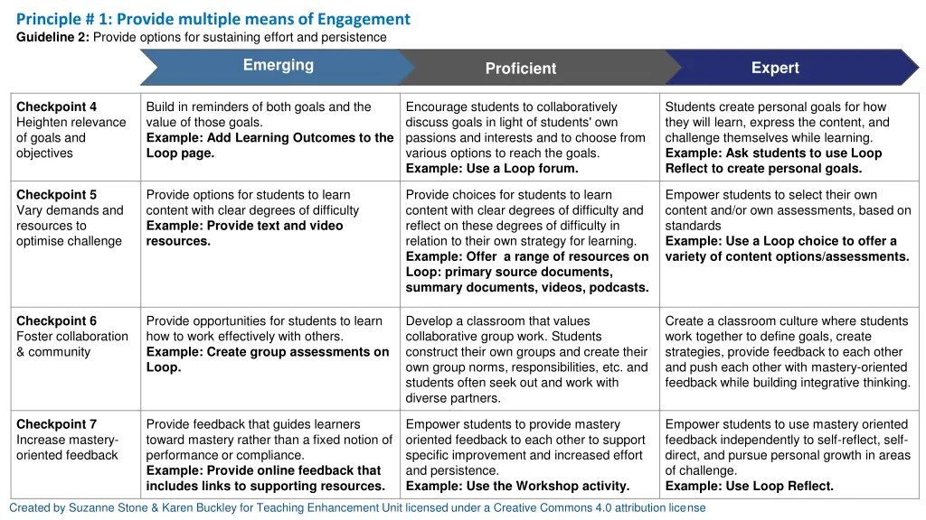 principle 1 provide multiple means of engagement 1