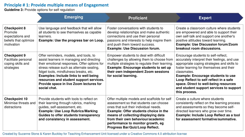 principle 1 provide multiple means of engagement 2