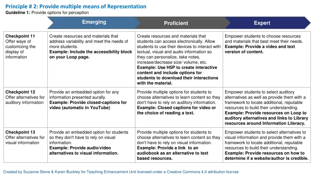 principle 2 provide multiple means