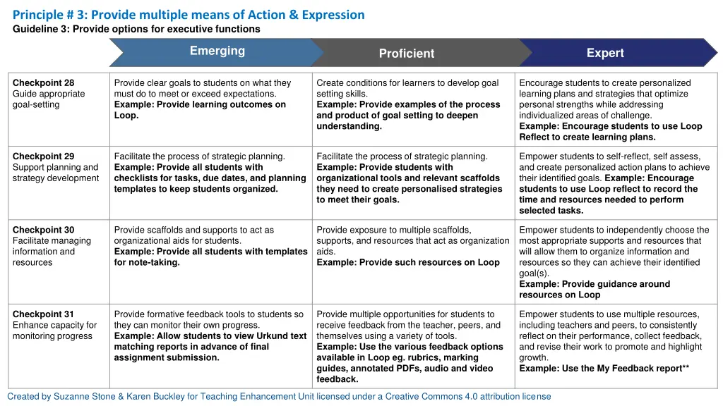 principle 3 provide multiple means of action 2