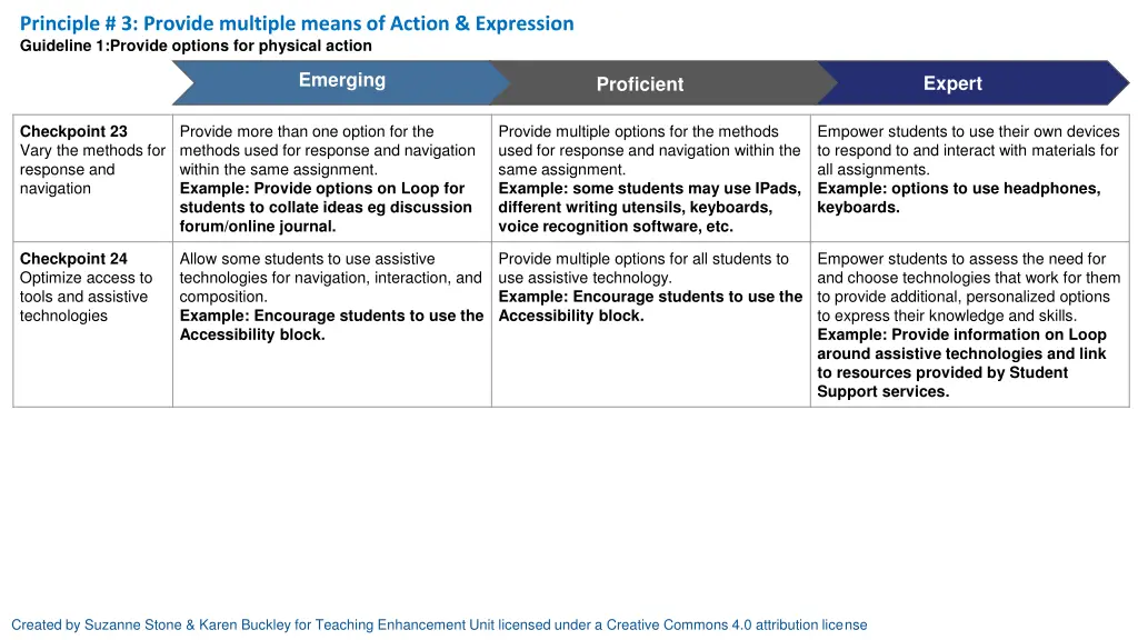 principle 3 provide multiple means of action
