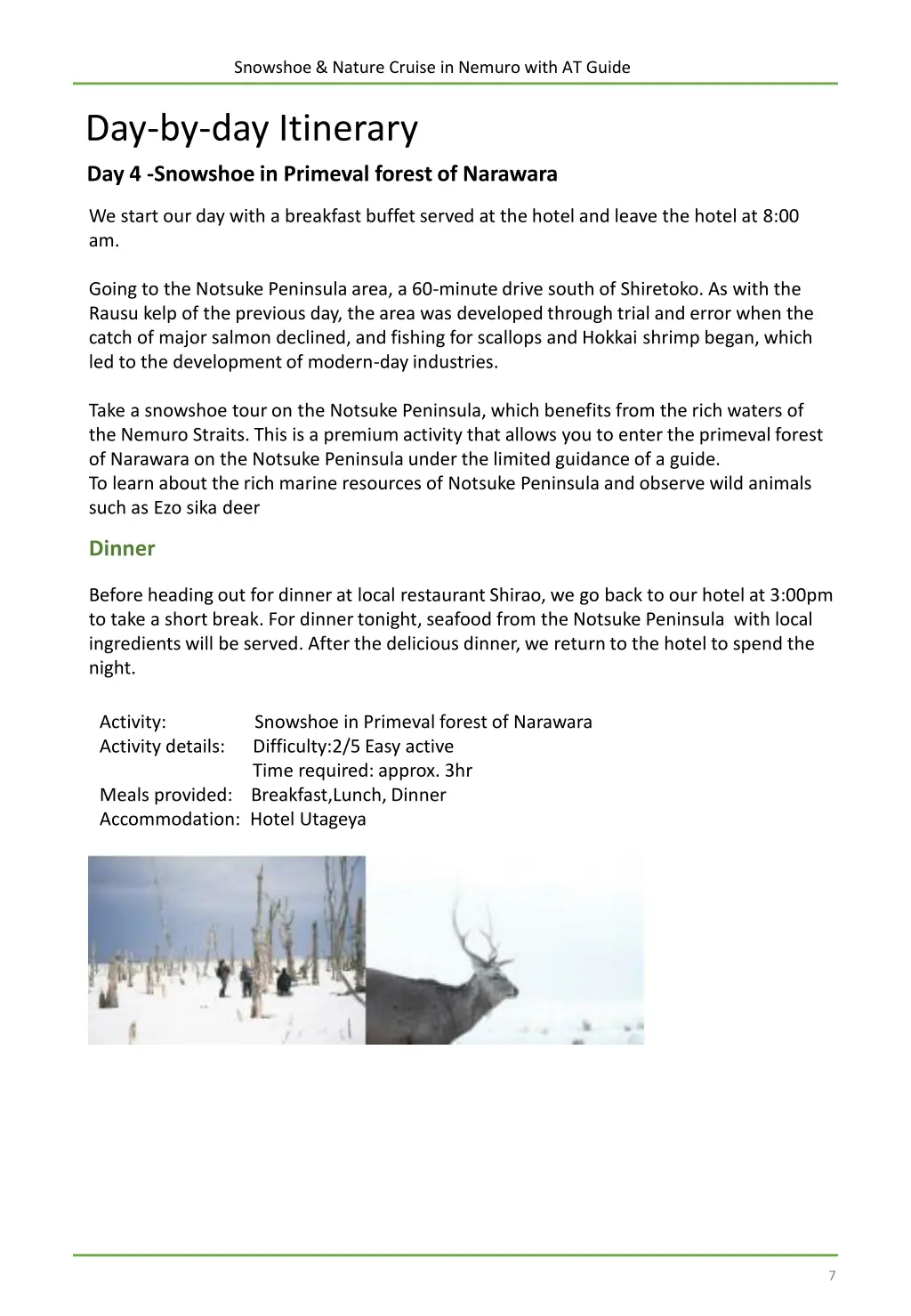 snowshoe nature cruise in nemuro with at guide 6