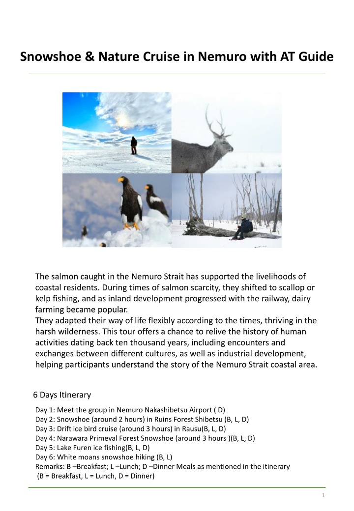 snowshoe nature cruise in nemuro with at guide