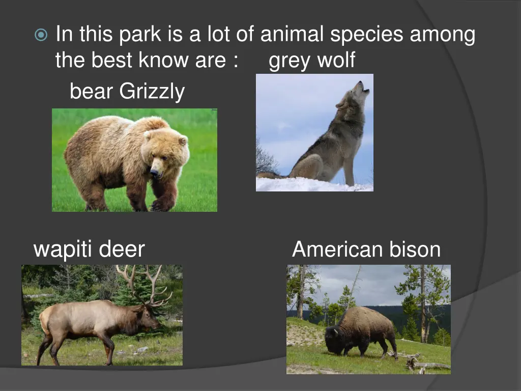 in this park is a lot of animal species among