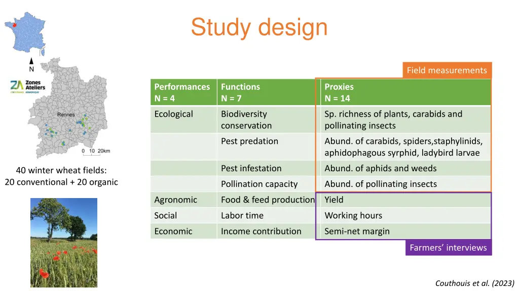 study design
