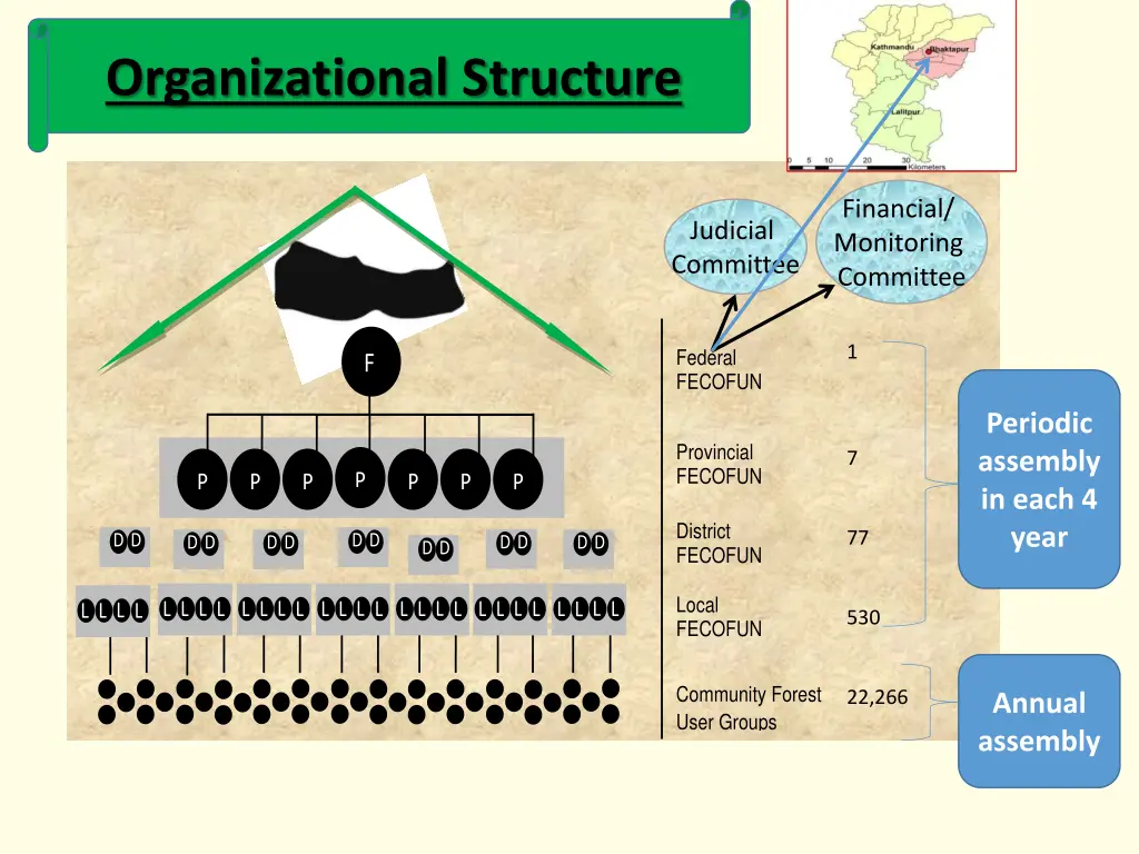 organizational structure