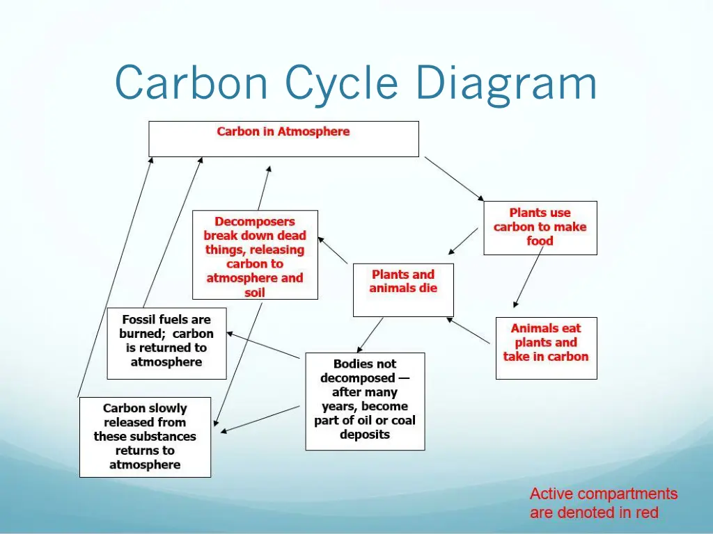 carbon cycle diagram