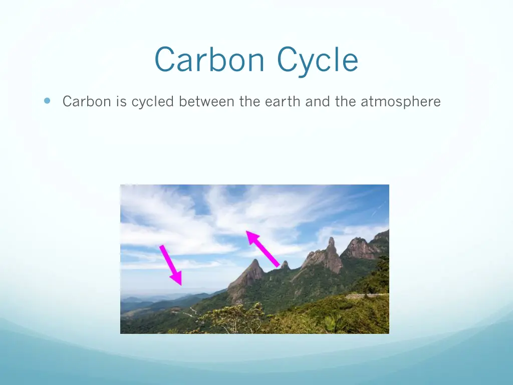 carbon cycle