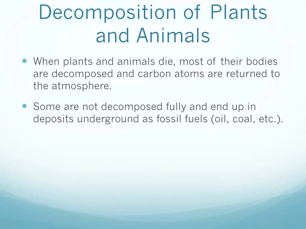 decomposition of plants and animals