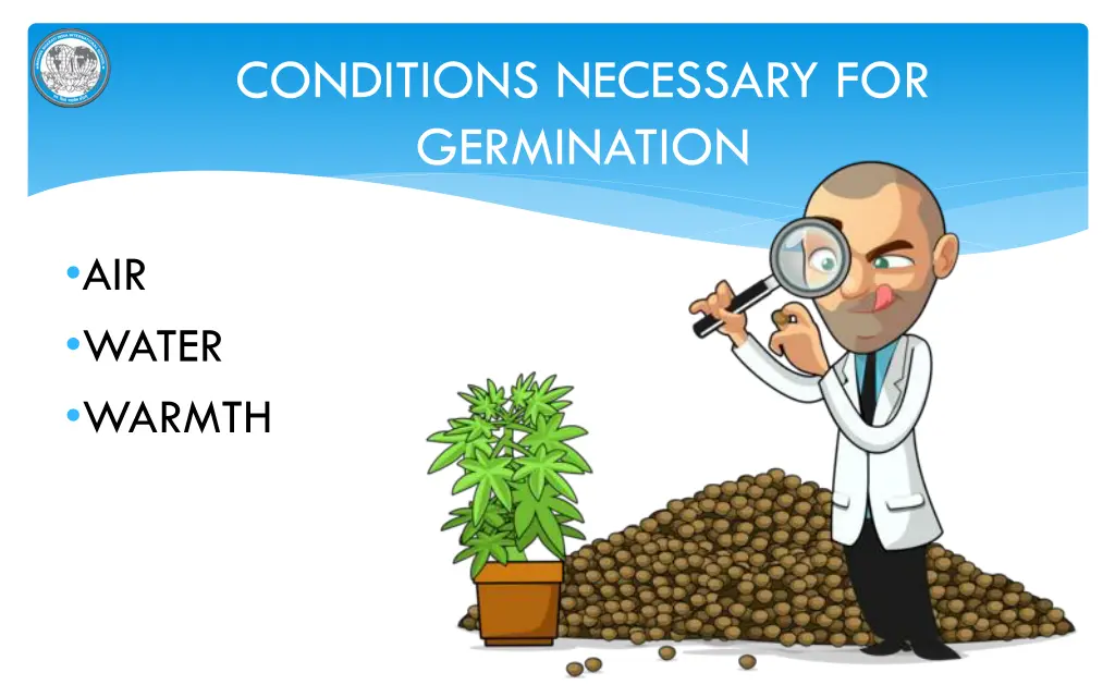 conditions necessary for germination