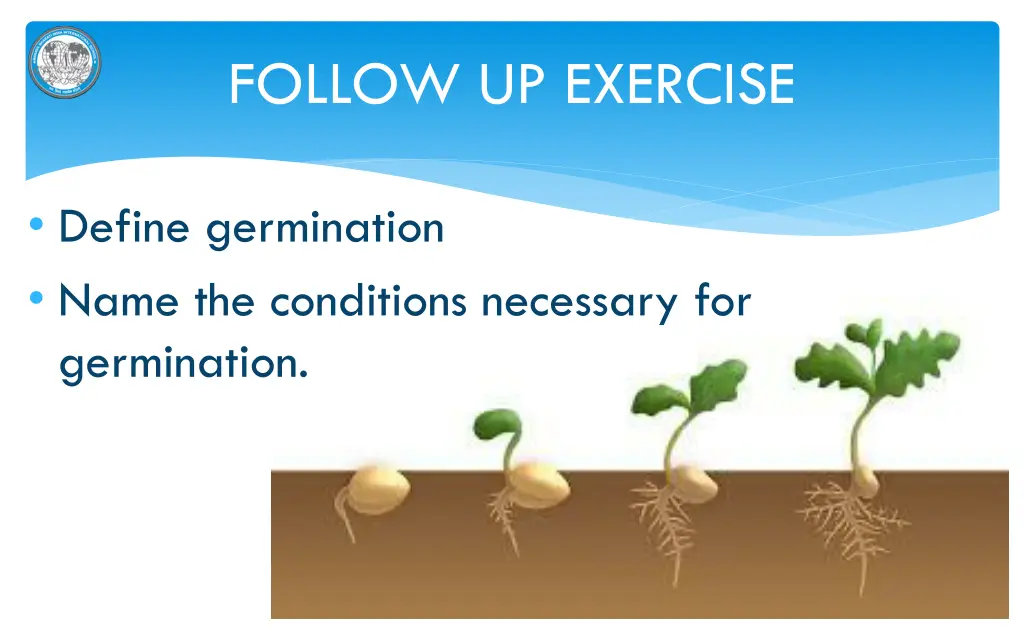 follow up exercise