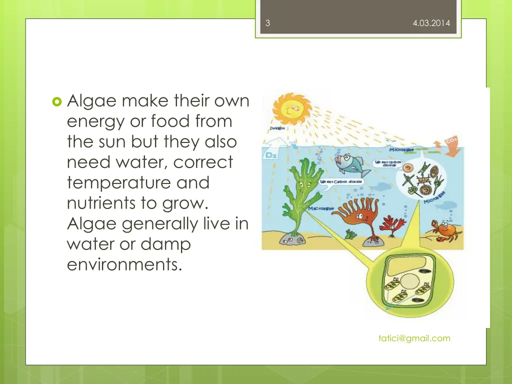 slide3