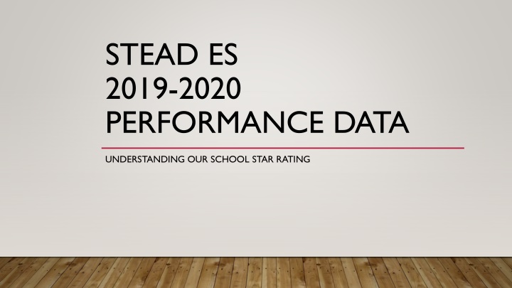 stead es 2019 2020 performance data