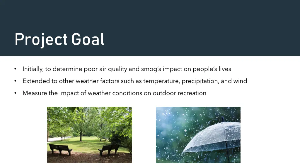project goal