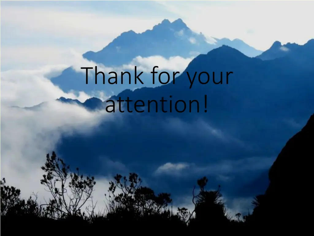 thank for your attention