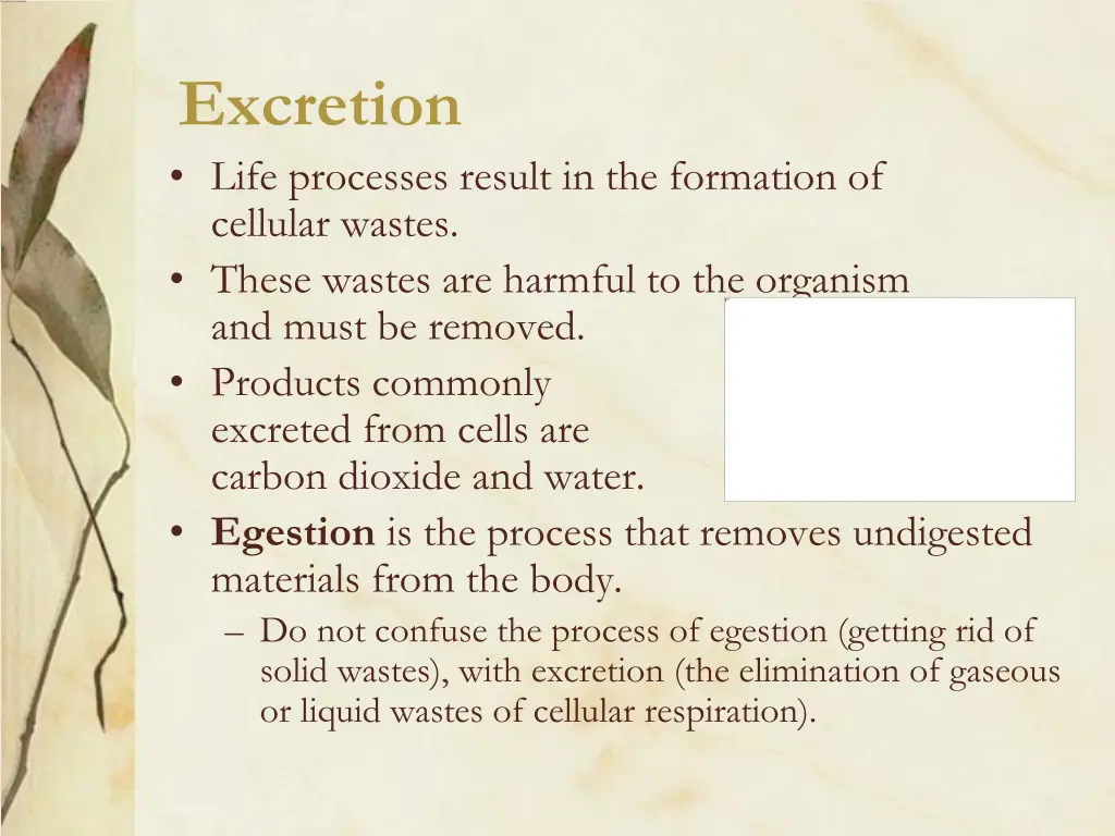 excretion life processes result in the formation