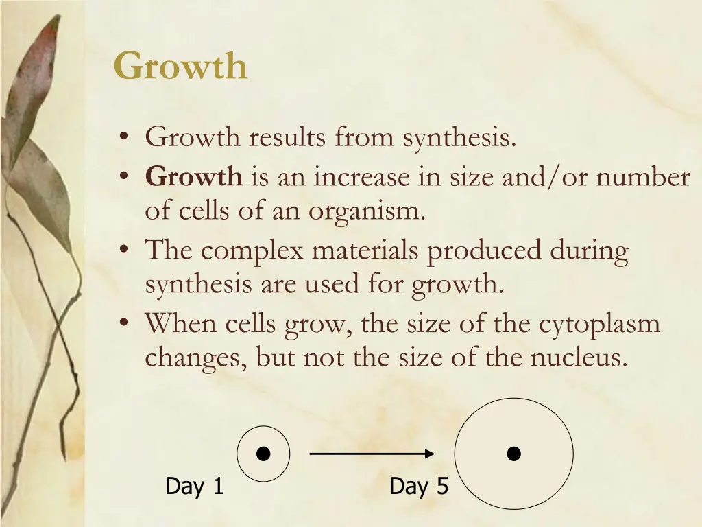 growth