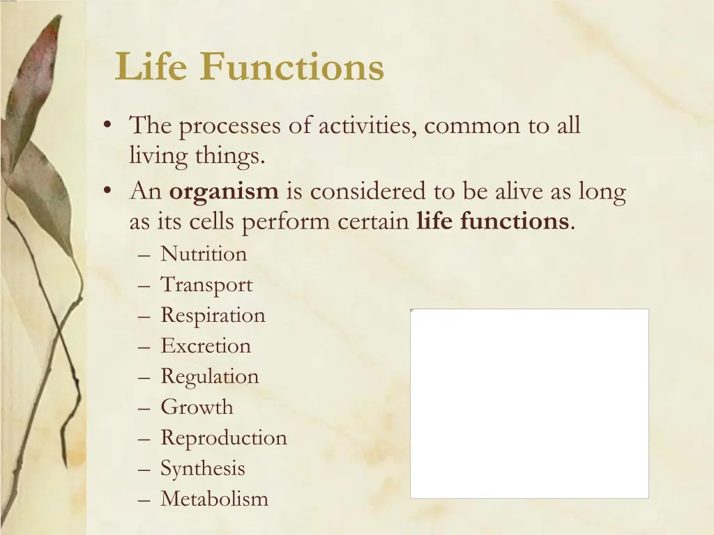 life functions