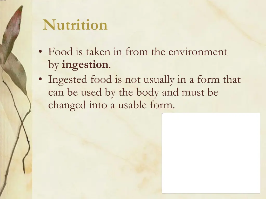 nutrition 1