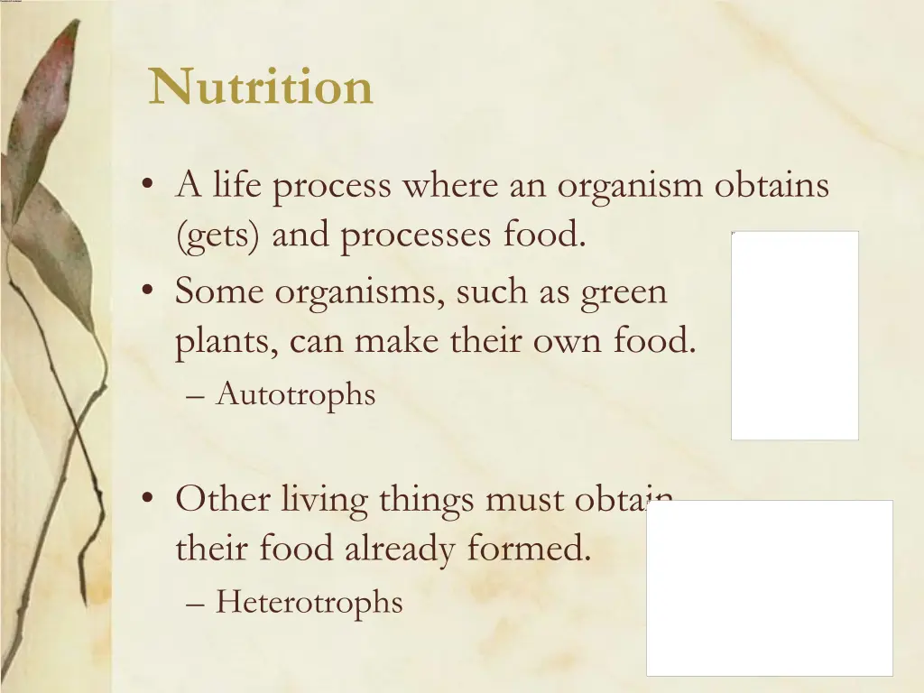nutrition