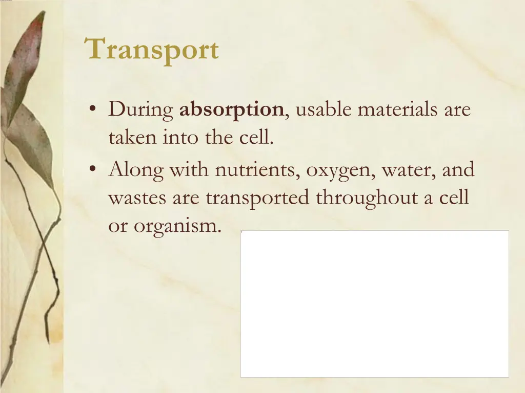 transport 1