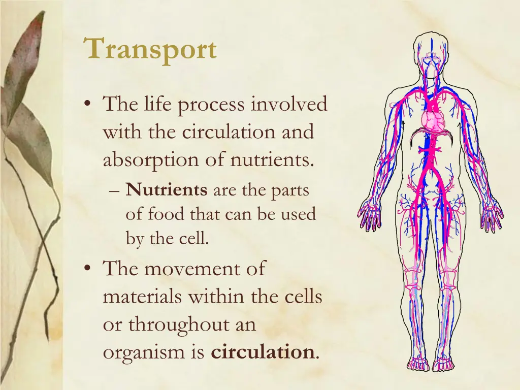 transport