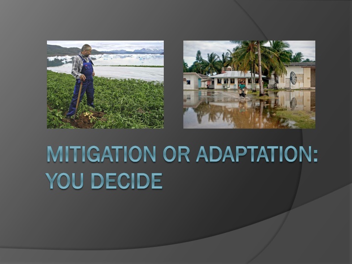 mitigation or adaptation mitigation or adaptation