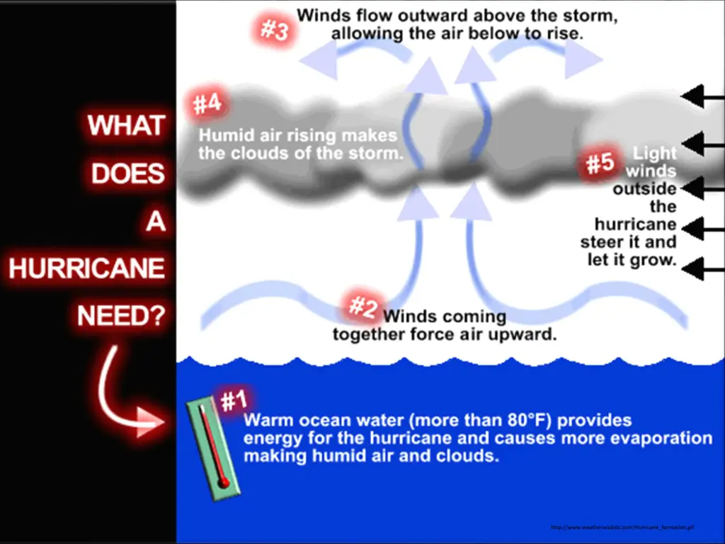 http www weatherwizkids com hurricane formation