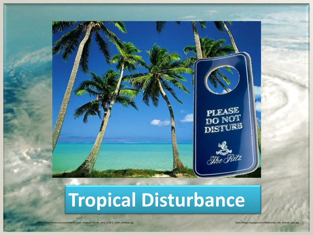 tropical disturbance