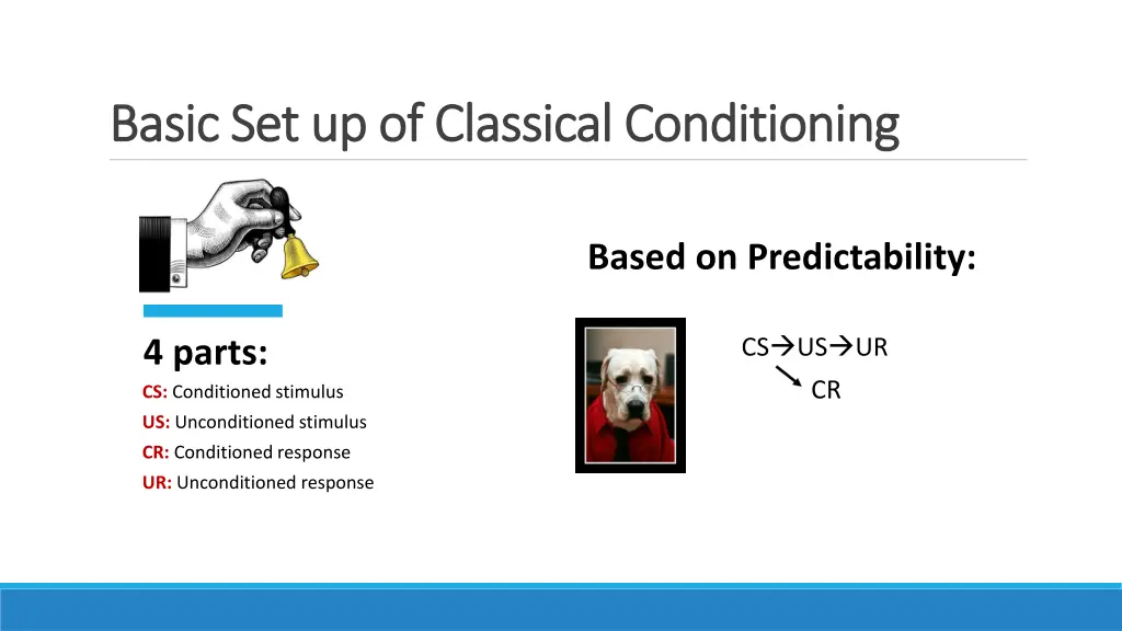 basic set up of classical conditioning basic
