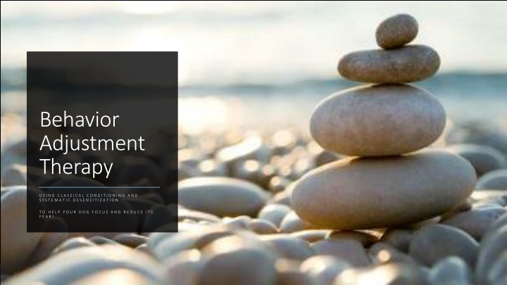 behavior adjustment therapy