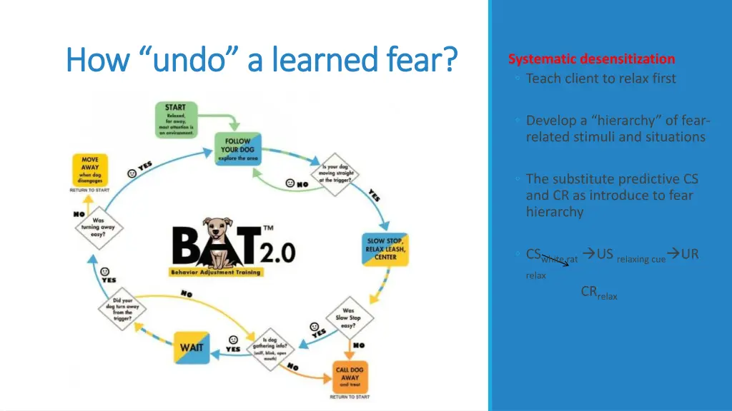how undo a learned fear how undo a learned fear