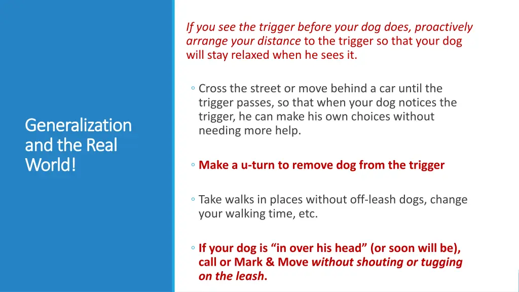 if you see the trigger before your dog does
