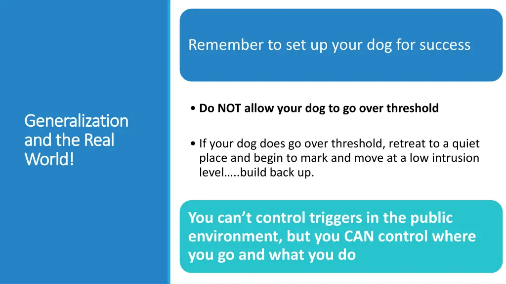remember to set up your dog for success