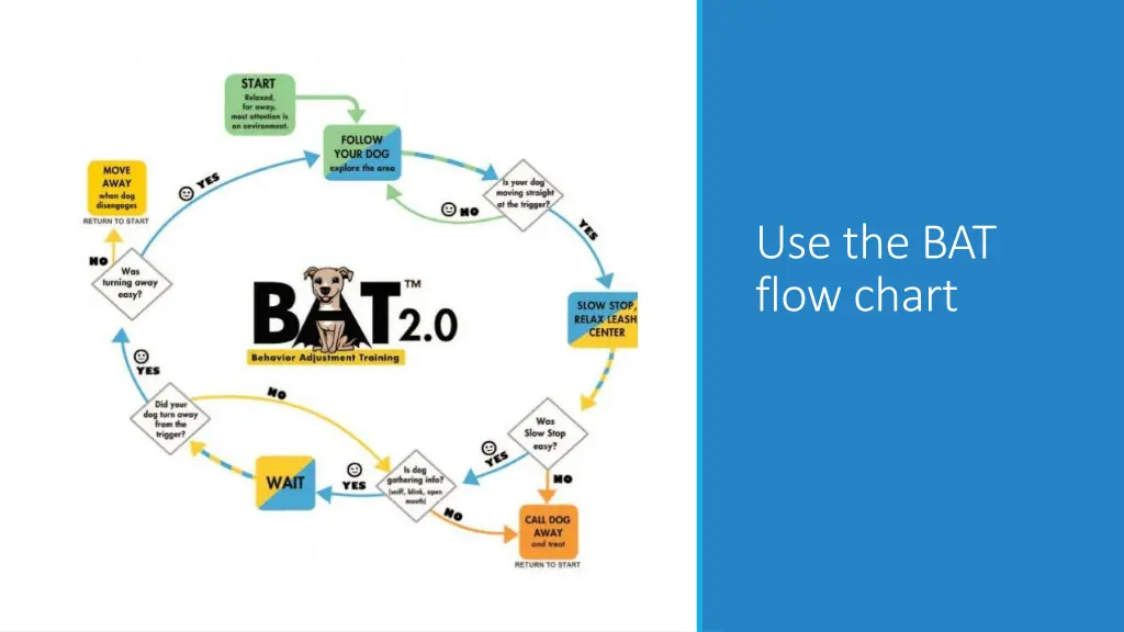 use the bat flow chart