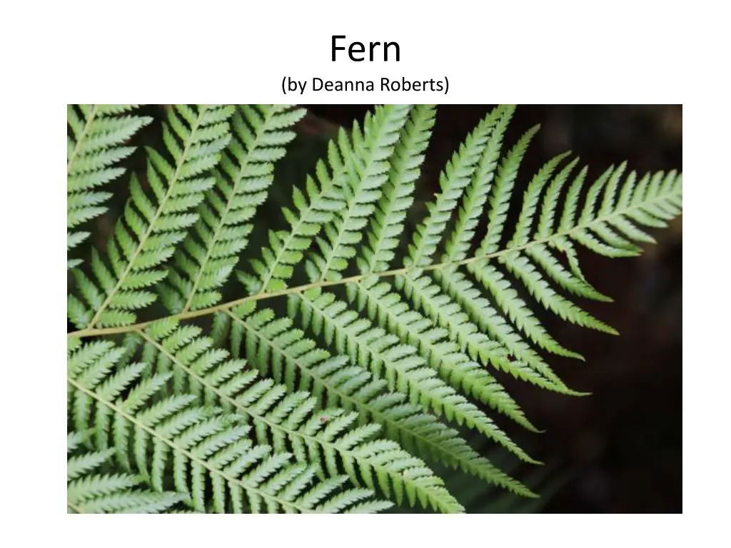 slide2