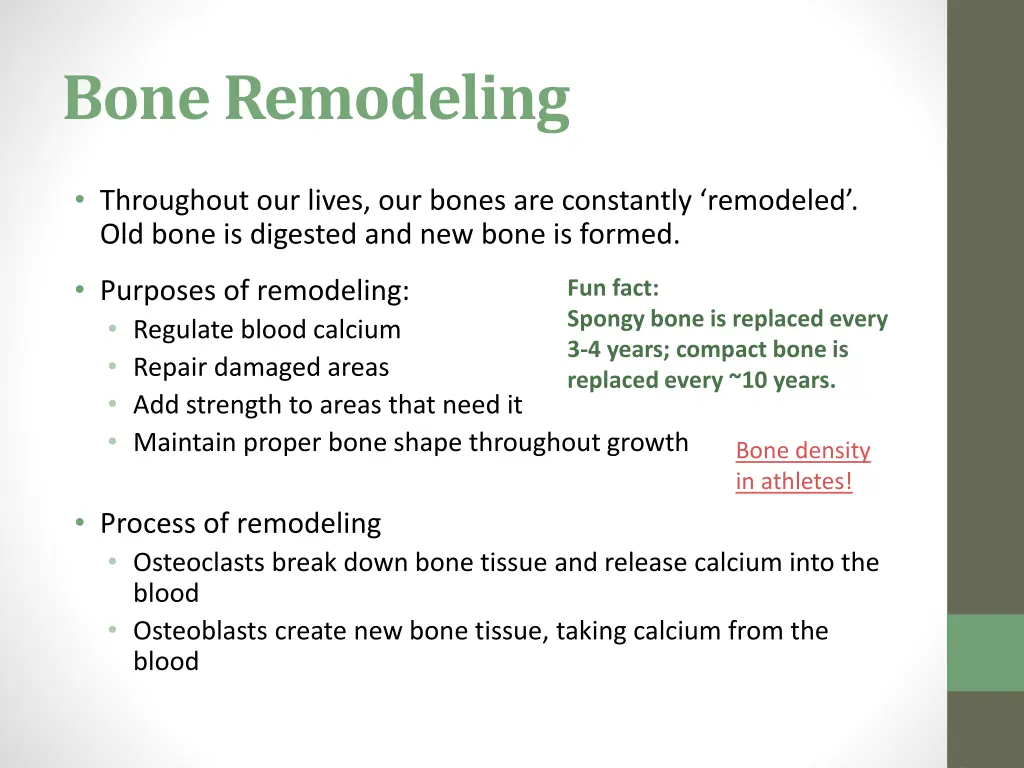 bone remodeling