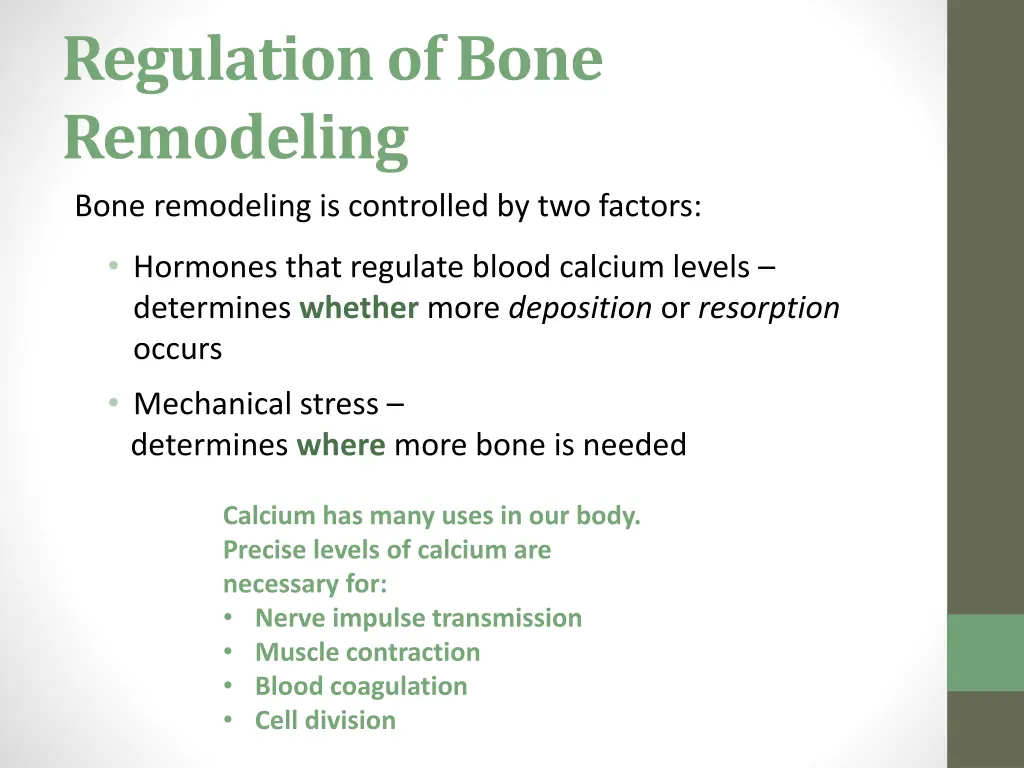 regulation of bone remodeling