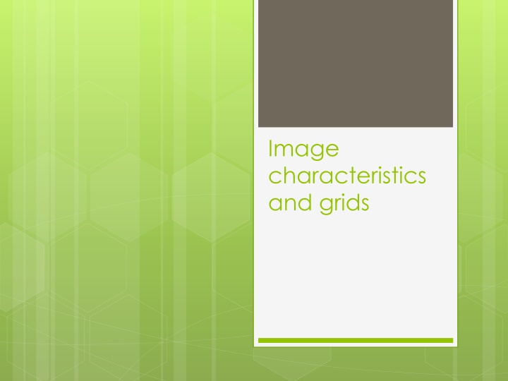 image characteristics and grids