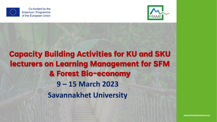 capacity building activities