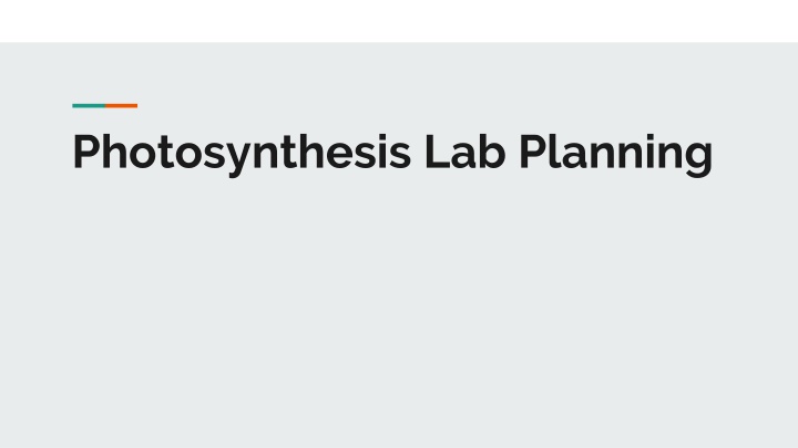 photosynthesis lab planning