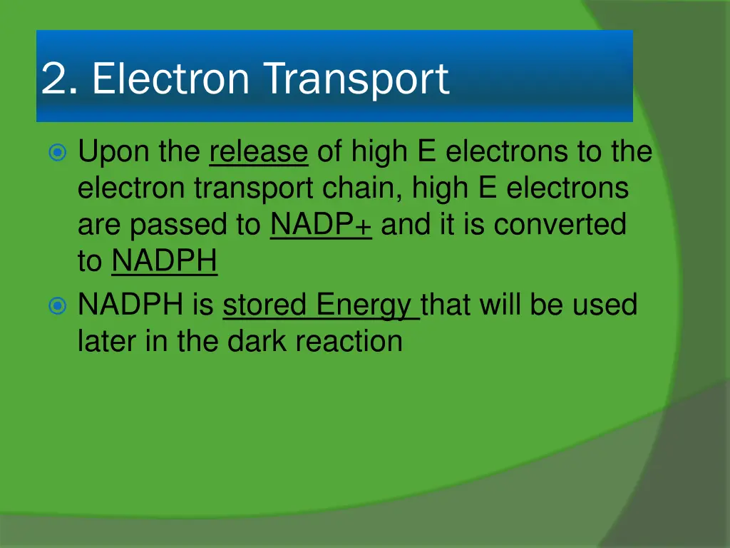 2 electron transport