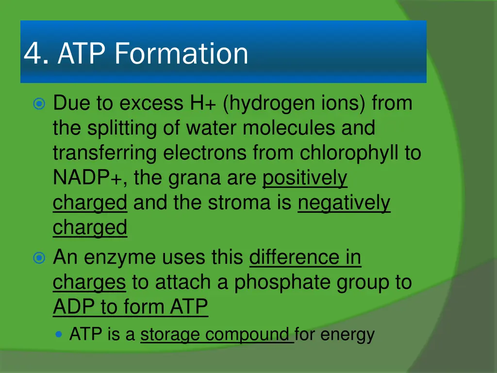 4 atp formation
