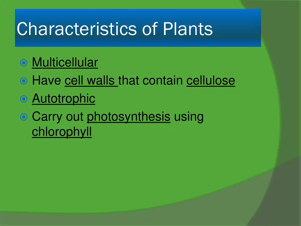 characteristics of plants